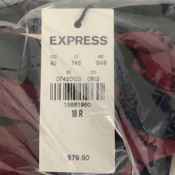 EXPRESS PANTS, High Rise Ankle PaperBag Waist 18R Striped Blue/Maroon/… - Picture 5 of 7